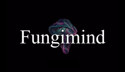 中美法律AI的深度圆桌对话